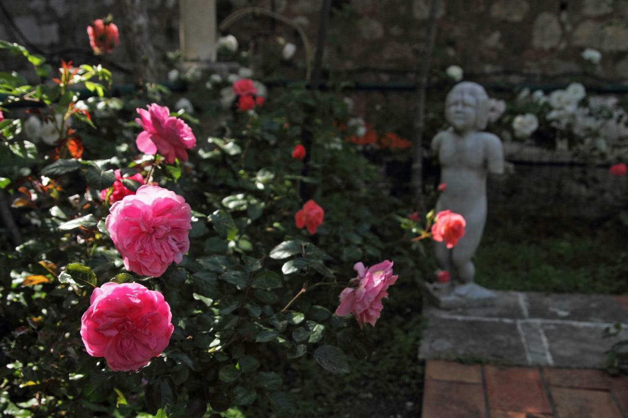 Apartma Old Town Garden *