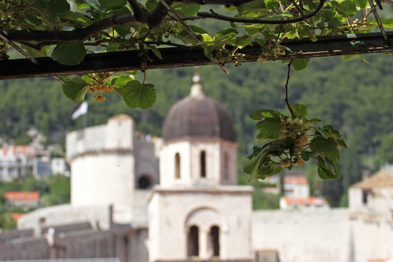 Old Town Garden *
